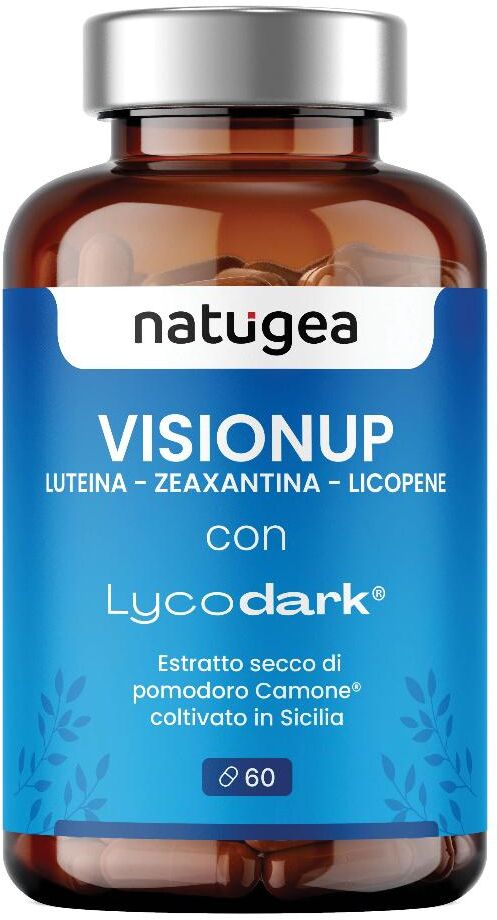 PRODGTAL Srl VISIONUP 60CPR