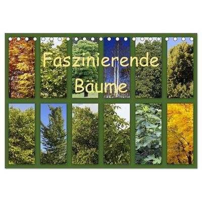 Faszinierende Bäume (Tischkalender 2027 DIN A5 quer), CALVENDO Monatskalender