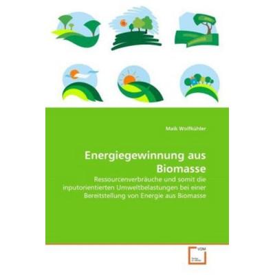 Wolfkühler, M: Energiegewinnung aus Biomasse, Taschenbuch von Maik Wolfkühler, VDM, 978-3-639-36039-4
