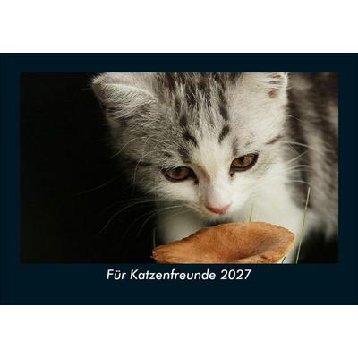 Für Katzenfreunde 2027 Fotokalender DIN A5