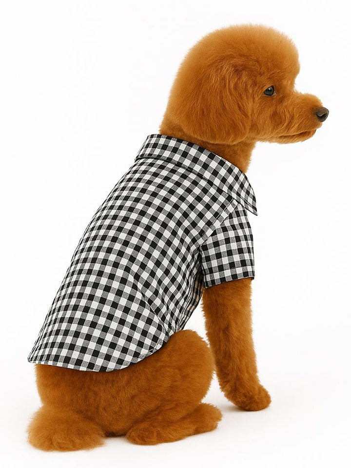 Paws&Whiskers Hundehoodie in Schwarz/ Weiß - S