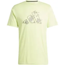 ADIDAS Herren Shirt Train Essentials Seasonal Training Graphic, Größe M in Pink Pink