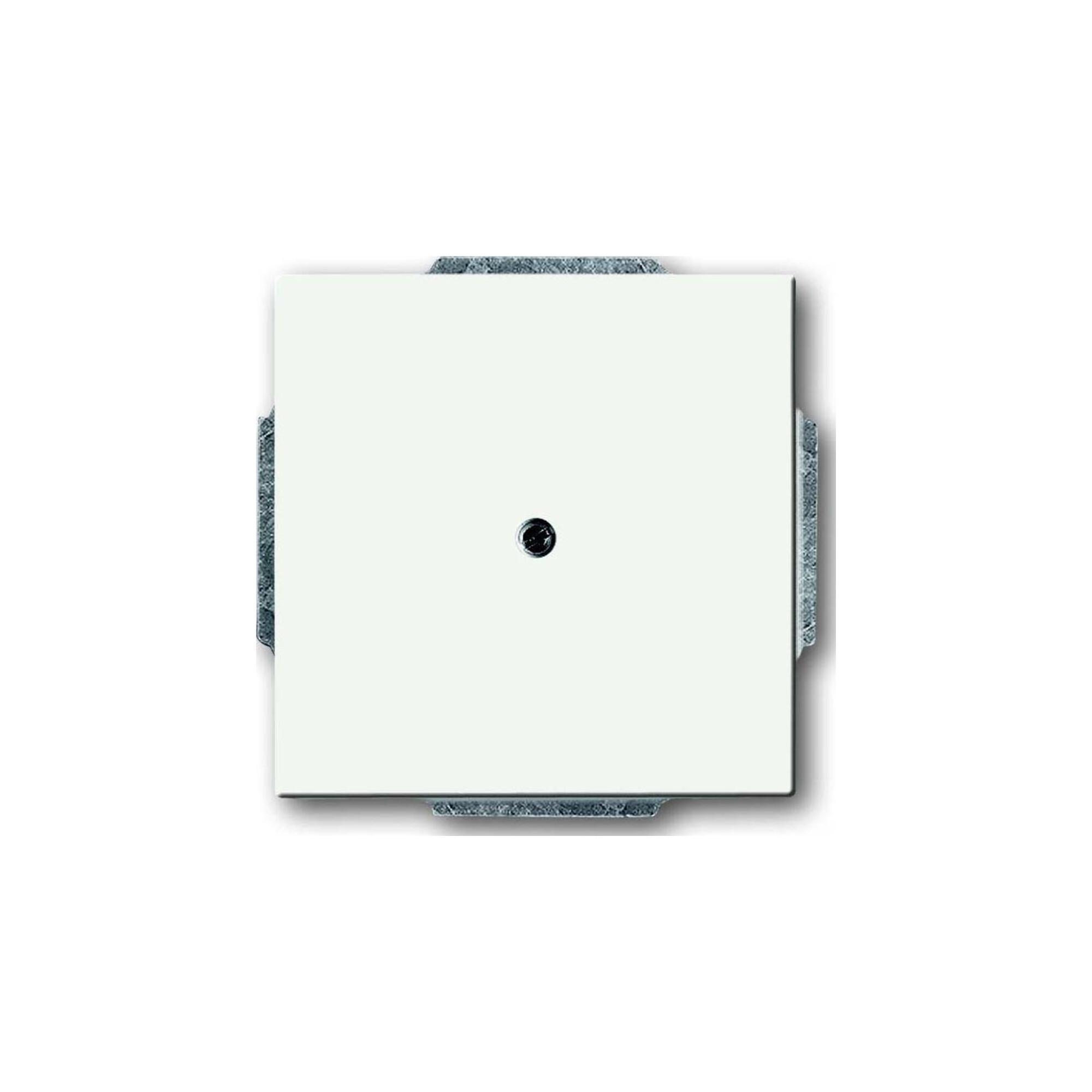 Busch-Jaeger Zentralscheibe ws Blindabd,m.Tragring 1742-884 (2CKA001710A3873)