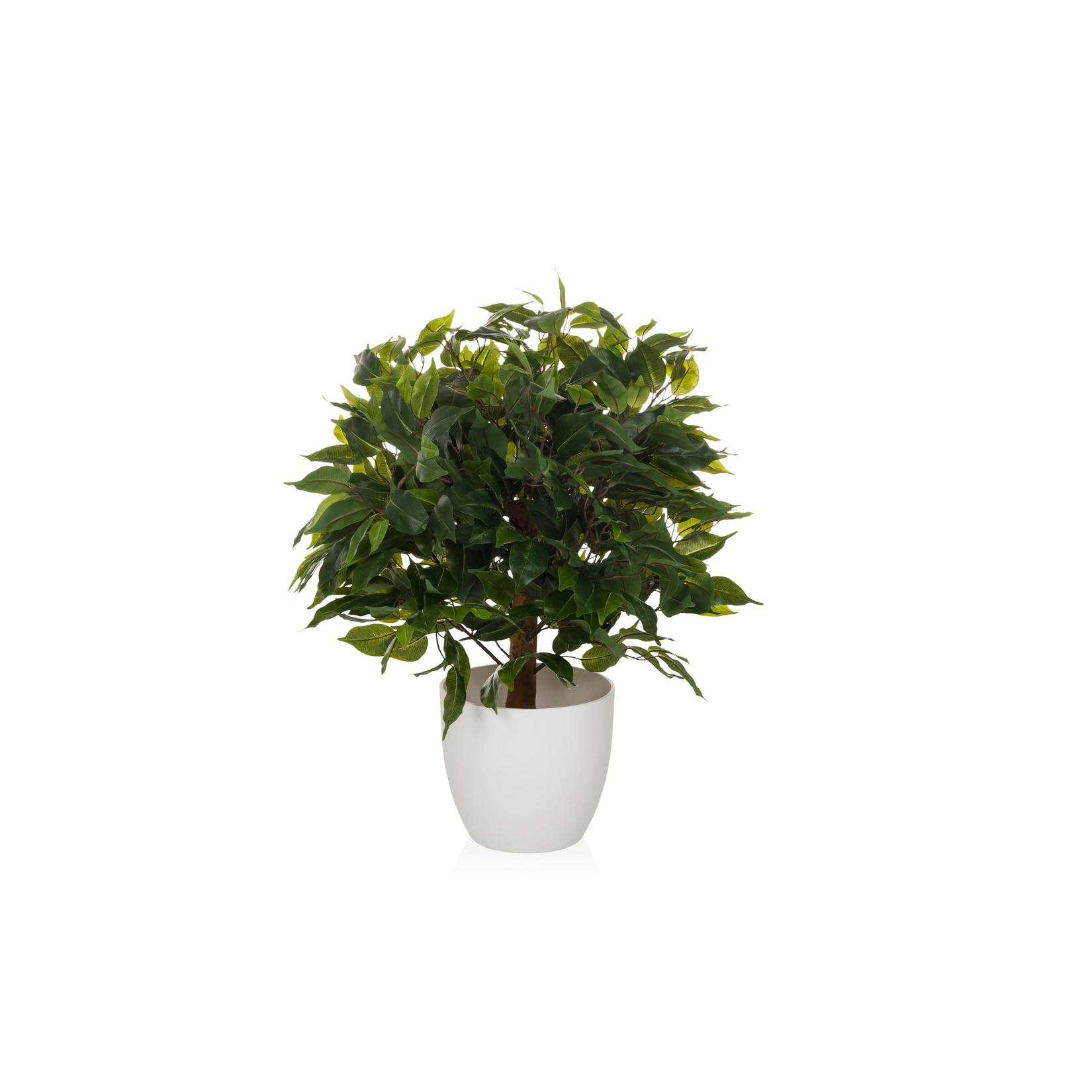 hjh OFFICE Kunstpflanze FICUS II Kunststoff