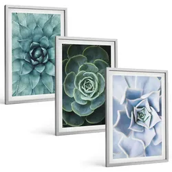 BILDER SET 3er Set - 40x60 cm Silberner Rahmen - Sukkulente Pflanzen grün türkis