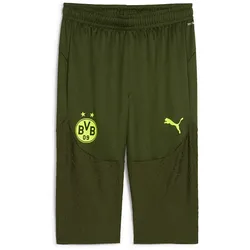 PUMA BVB Borussia Dortmund Pro 3/4-Trainingshose Herren 07 - myrtle/yellow alert M