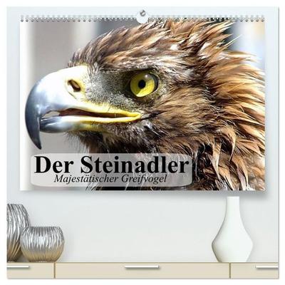 Der Steinadler. Majestätischer Greifvogel (hochwertiger Premium Wandkalender 2027 DIN A2 quer), Kunstdruck in Hochglanz