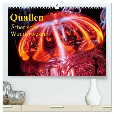 Quallen • Ätherische Wunderwesen (hochwertiger Premium Wandkalender 2027 DIN A2 quer), Kunstdruck in Hochglanz