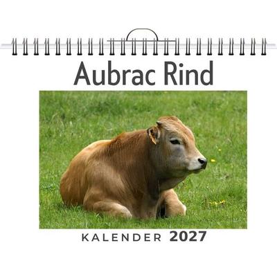 Aubrac Rind