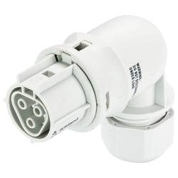 Wieland Electric 96.033.0053.0 Steckverbinder