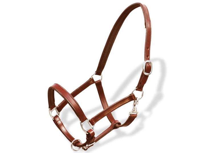 vidaXL Echtleder Halfter Stallhalfter verstellbar braun Pony