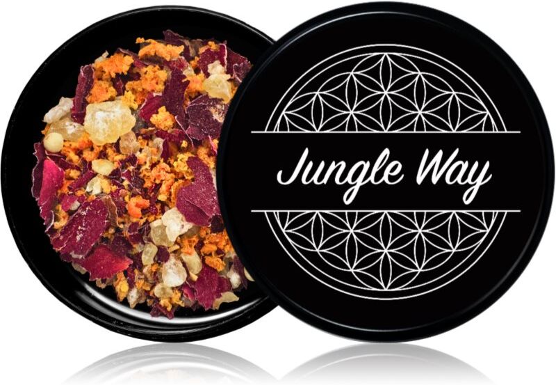 Jungle Way Creative Thoughts encens 15 g