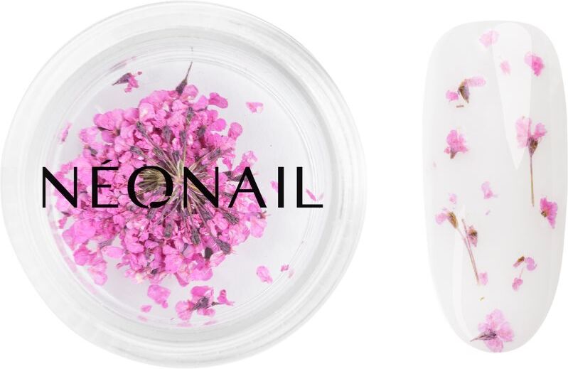 NEONAIL Dried Flowers dried blossom for nails shade Purple 1 pc