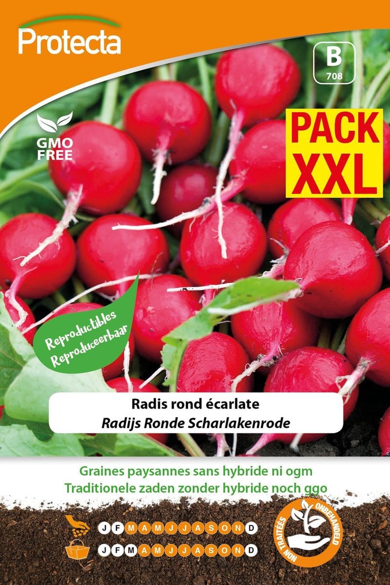 Protecta Radijs Ronde Scharlakenrode XXL Groentezaden