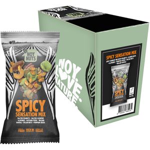 NoyNuts Nussmischung Spicy Sensation Mix, im Beutel, geröstet & gesalzen, 4 Nusssorten, je 45 g, 12 Pack