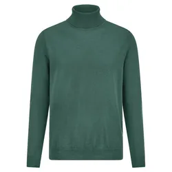 Rollkragen-Pullover Louis Sayn grün, 52
