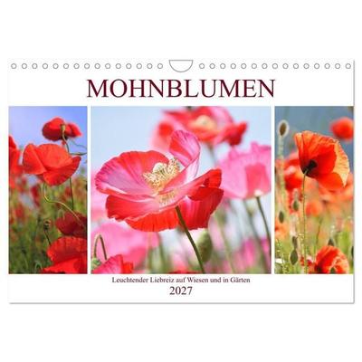 Mohnblumen. Leuchtender Liebreiz auf Wiesen und in Gärten (Wandkalender 2027 DIN A4 quer), CALVENDO Monatskalender