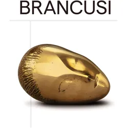 Brancusi:Constantin Brancusi, Fachbücher von Constantin Brancusi