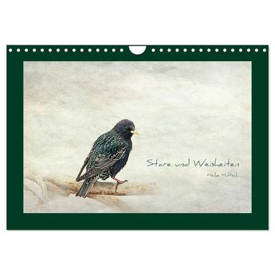 Stare und Weisheiten (Wandkalender 2027 DIN A4 quer), CALVENDO Monatskalender
