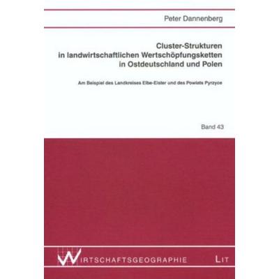 Dannenberg, P: Cluster-Strukturen B.43, Taschenbuch von Peter Dannenberg, Lit Verlag, 978-3-8258-0690-3