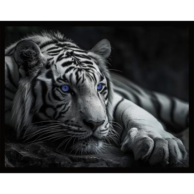 Bild mit Rahmen BÖNNINGHOFF "Wandbild gerahmt TIGER MIT BLAUEN AUGEN 40x50 cm – Tierbild Natur", schwarz-weiß (farbe rahmen: schwarz, farbe bild(er): schwarz, weiß, blau), B:50cm H:40cm T:2,1cm, MDF, Papier, Bilder, mit dekorativem Rahmen