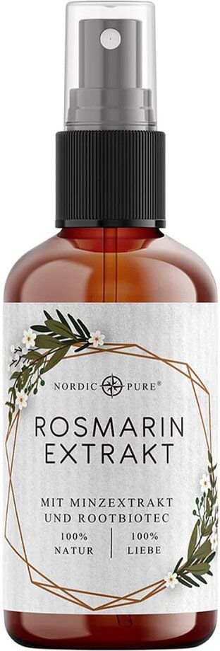 Rosmarin-Minze-Extrakt Haarkur ölfrei Nordic Pure