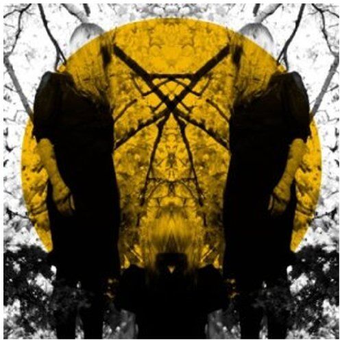 Austra - Feel It Break - Preis vom 11.10.2026 03:10:56 h