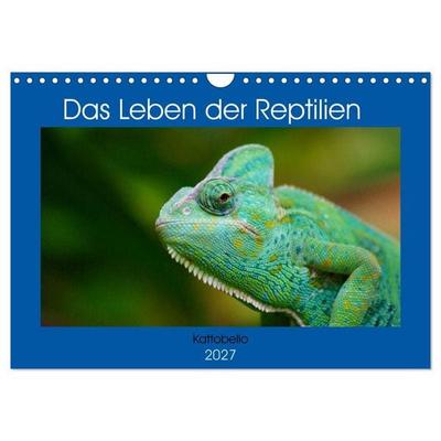 Das Leben der Reptilien (Wandkalender 2027 DIN A4 quer), CALVENDO Monatskalender