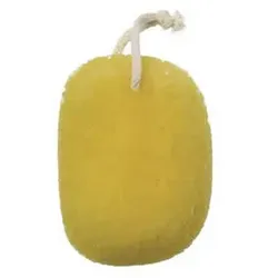 Beter Sea Sponge Imitation