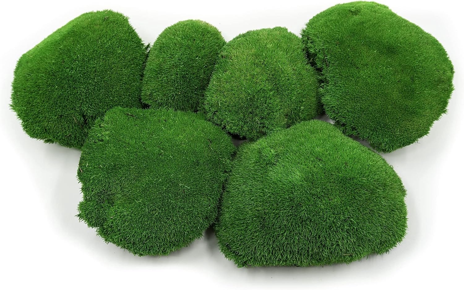 Duurzaam geconserveerd balenmos voor decoratie, middengroen, oppervlakte: 0,10 m² (30x30 cm)