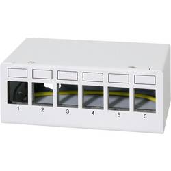 LogiLink NK4091 Patch-Panel CAT 6a Lichtgrau (RAL 7035) Bestückt