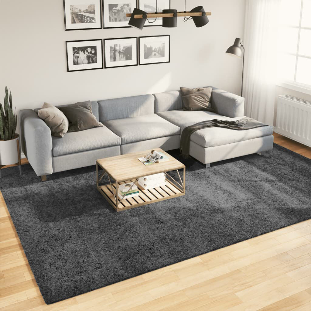 Brayden Studio Studio Rug Short Pile Anthracite Rectangle 240 x 340cm
