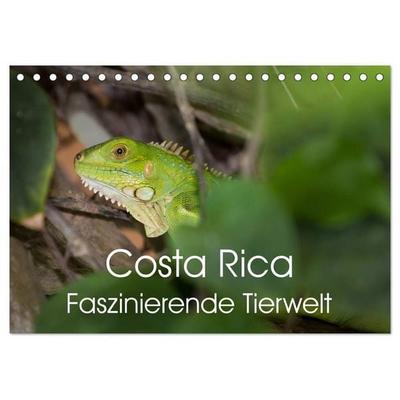 Costa Rica. Faszinierende Tierwelt (Tischkalender 2026 DIN A5 quer), CALVENDO Monatskalender