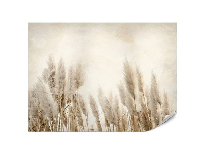 FOTOTAPETE für Schlafzimmer Boho Pampasgras Beton Pflanzen Vintage 200x140