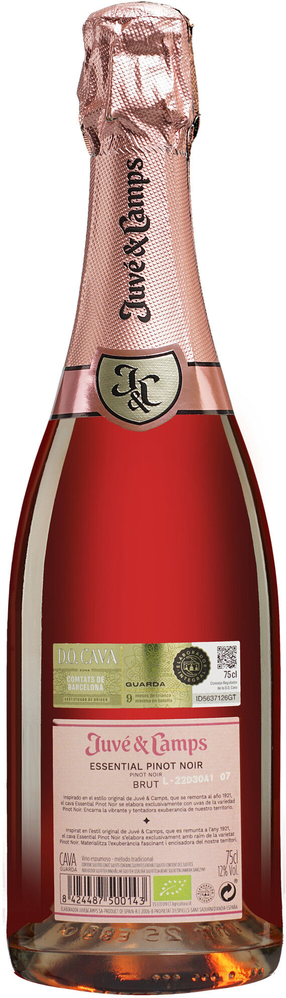 Juvé y Camps Cava Rosé Essential 12% Vol. Trocken aus Spanien