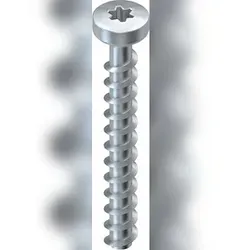 100 Stk. Niedax Schraubanker NSA 6X50/FKK-T30 V