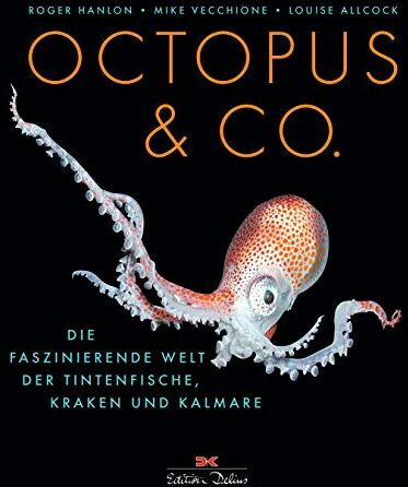 Roger Hanlon - Octopus & Co.: Die faszinierende Welt der Tintenfische, Kraken und Kalmare - Preis vom 09.10.2026 07:28:09 h