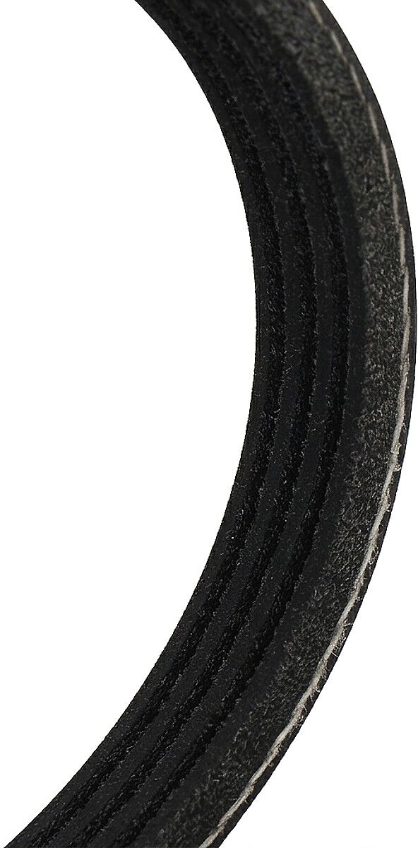 RIDEX 305P0521 Multiriem