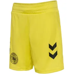 hummel DBU Dänemark Torwartshorts 2024 Kinder 5269 - blazing yellow 140