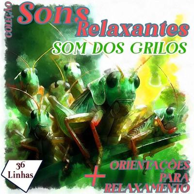 Coleção Sons Relaxantes - sons de grilos - Silvia Strufaldi, Audio, 9798868795046