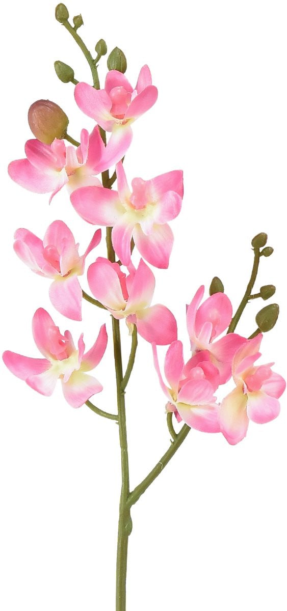Kleine Kunstorchidee Phalaenopsis Roze 30 cm