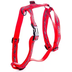 Martin Sellier Benton (Hund, Spazieren), Halsband + Leine