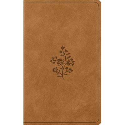 ESV Vest Pocket New Testament with Psalms and Proverbs, Red Letter, Gebundene Ausgabe von , Crossway Books