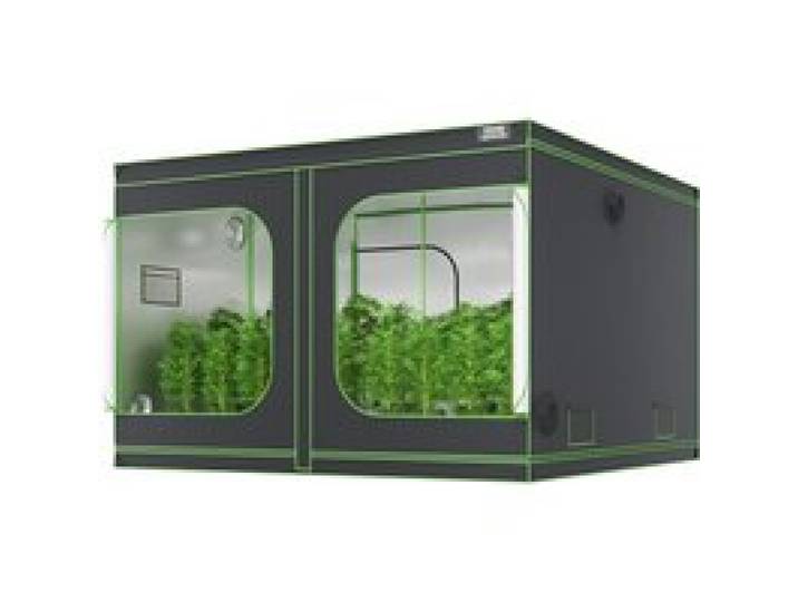 VEVOR Growbox 305 x 305 x 203 cm Gewächshaus aus 19 mm Stahl-Rahmen und 600D Oxford-Gewebe Growtent 60 kg Tragfähigkeit Growschrank Geeignet für 400 W Wachstumslicht Indoor Zuchtzelt