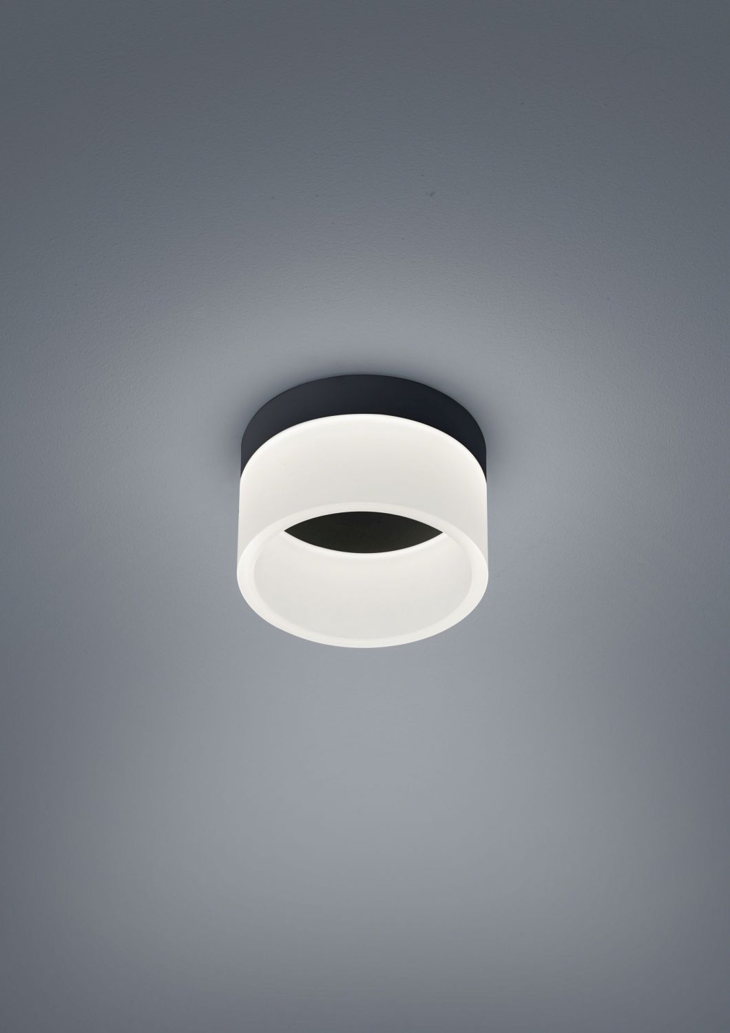 Helestra LED-Deckenleuchte LIV schwarz 15cm 15/1732.22 4022671115193
