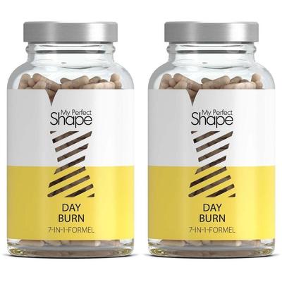 DAY Burn Kapseln 2x 2x120 St