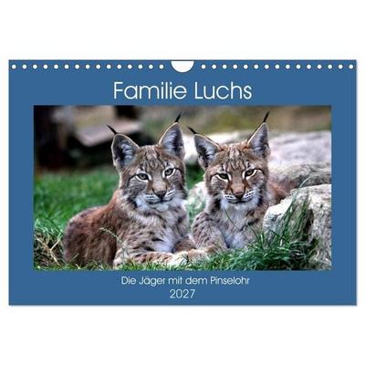 Familie Luchs - Die Jäger mit dem Pinselohr (Wandkalender 2027 DIN A4 quer), CALVENDO Monatskalender