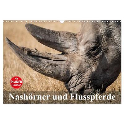 Nashörner und Flusspferde (Wandkalender 2026 DIN A3 quer), CALVENDO Monatskalender