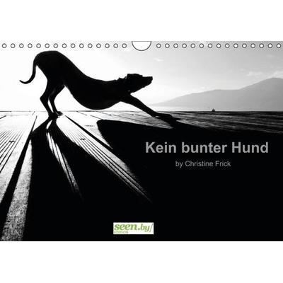 Kein bunter Hund (Wandkalender immerwährend DIN A4 quer)