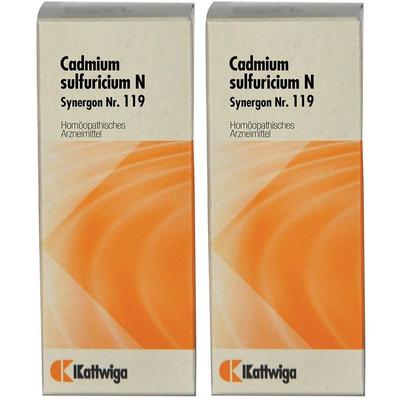 Synergon Komplex 119 Cadmium sulfuricum N Tropfen 2x 2x50 ml